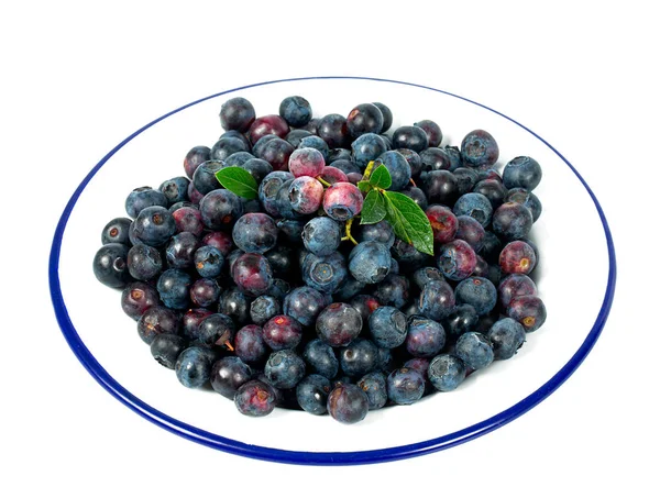新鲜的蓝莓在美塔片 — 图库照片