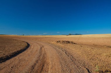 sarar çim ile tarım alanı