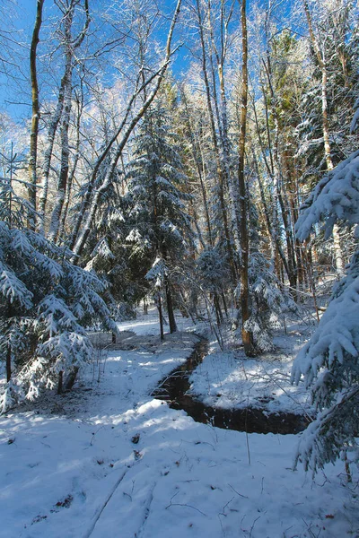 Красива сніжна зима в сонячний день — стокове фото