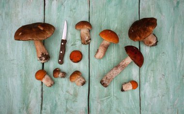 ahşap yüzeyde taze mantar