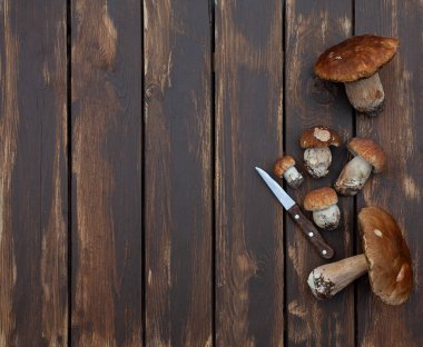 ahşap yüzeyde taze mantar