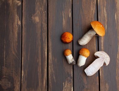 ahşap yüzeyde taze mantar