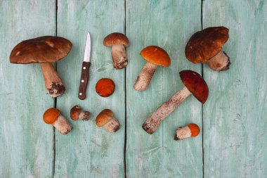 ahşap yüzeyde taze mantar