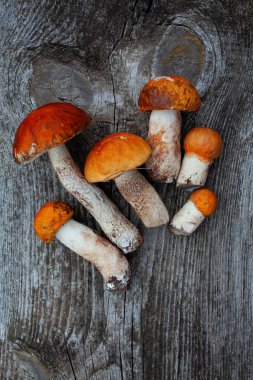 ahşap yüzeyde taze mantar