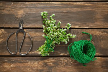 ahşap yüzeyde taze mercanköşk