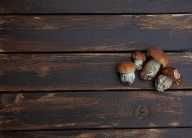 ahşap yüzeyde taze mantar