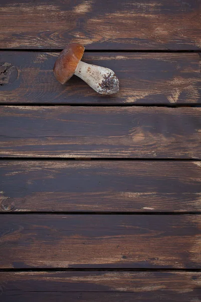 Fresh mushrooms on wooden surface — Stock Photo, Image