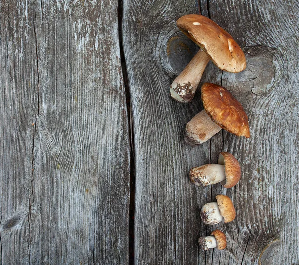 Fresh mushrooms on wooden surface — Stock Photo, Image