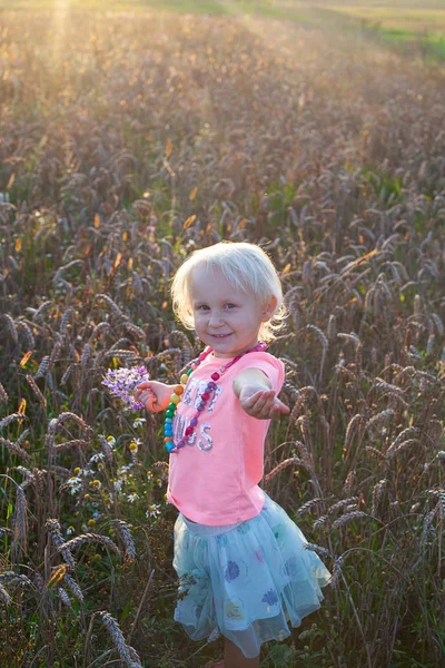 Menina bonito andando em um campo de trigo — Fotografia de Stock