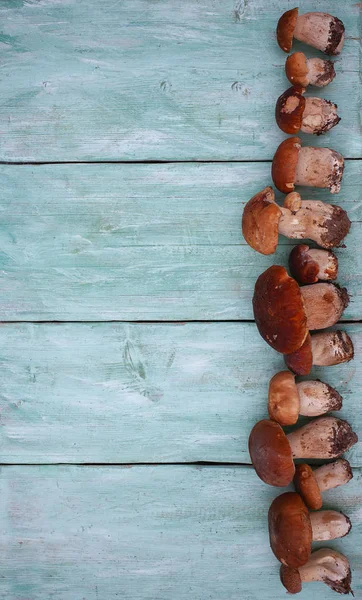 Čerstvé houby na dřevěném povrchu — Stock fotografie