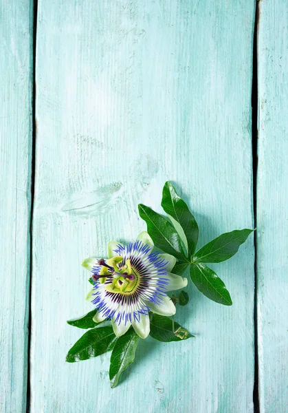 Passion flowers on turquoise wooden surface — Stock Photo, Image
