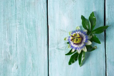 passion flowers on turquoise wooden surface clipart