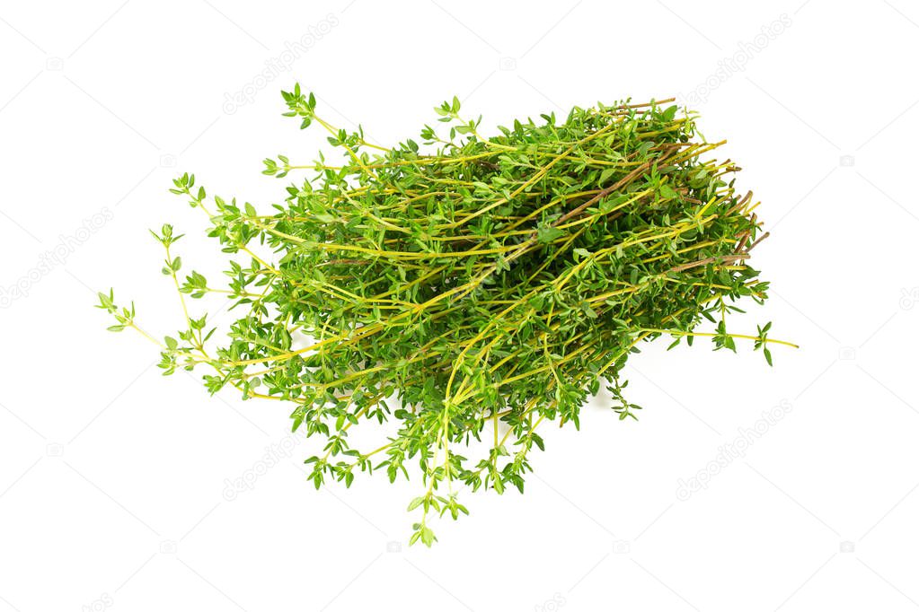 thyme isolated on white background