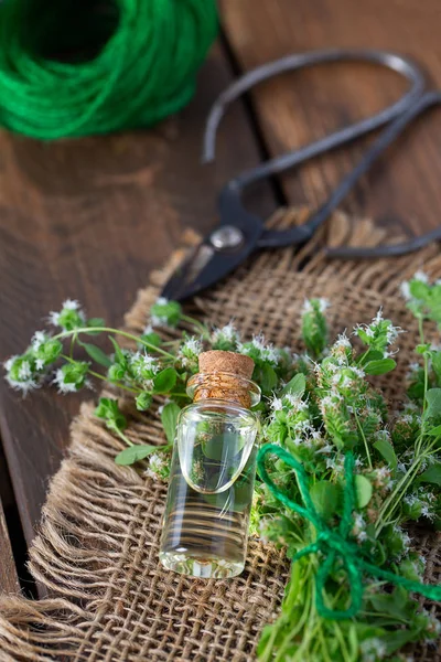 Aceite esencial con hierba de mejorana fresca — Foto de Stock