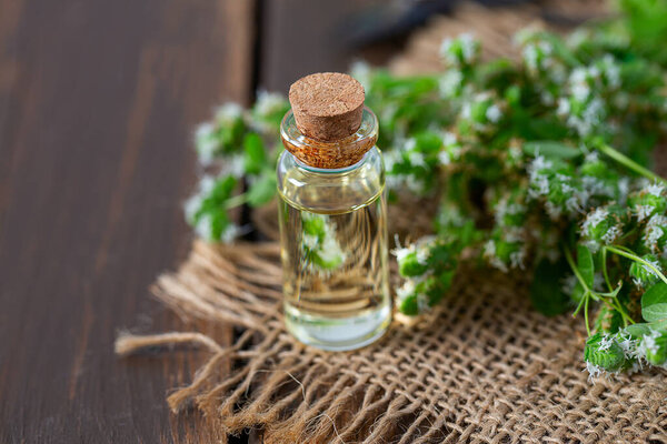 essential oil with fresh marjoram herb