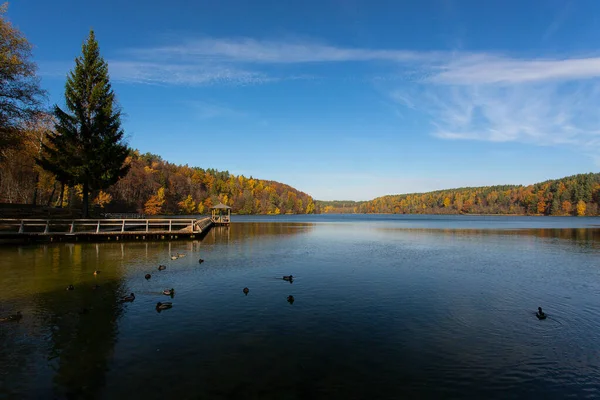 Beautiful Lake Golden Autumn — Stock Photo, Image