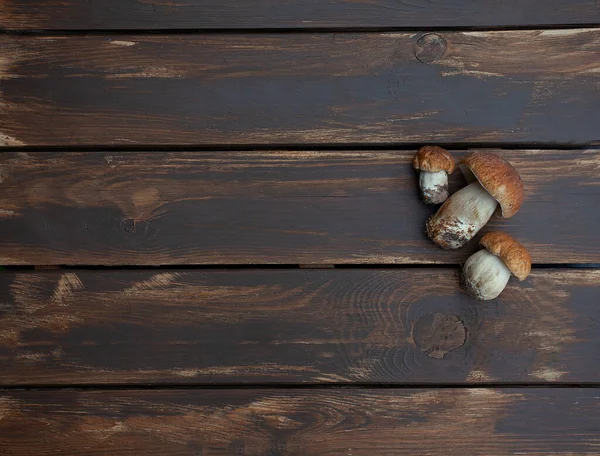 Cogumelos Frescos Superfície Madeira — Fotografia de Stock