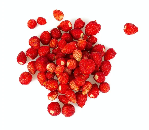 Fraises sauvages isolées sur blanc — Photo