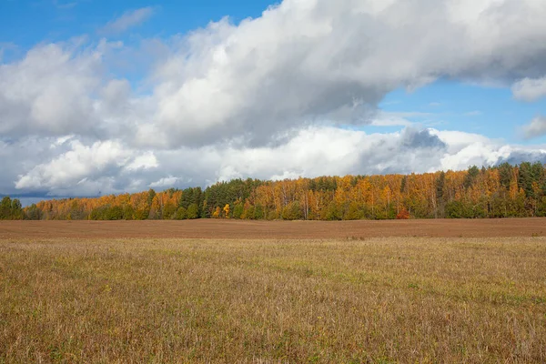 Beautiful Autumn Meadow Sunny Day — Stock Photo, Image