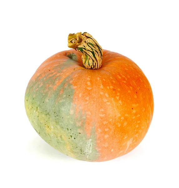 Hermosa Calabaza Aislada Fondo Blanco — Foto de Stock