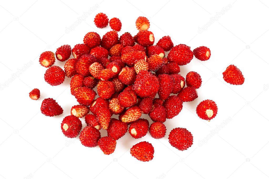 wild strawberries isolated on white