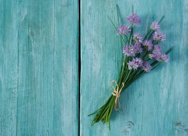 Turkuaz yüzeyde çiçek açan soğanlar.