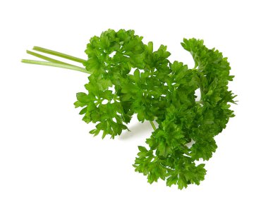 Beyaz maydanoz yaprağının taze dalı.