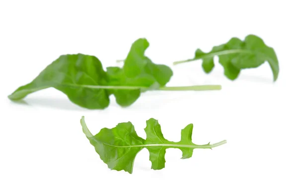 Frische Rucola Isoliert Auf Weißem Hintergrund — Stockfoto