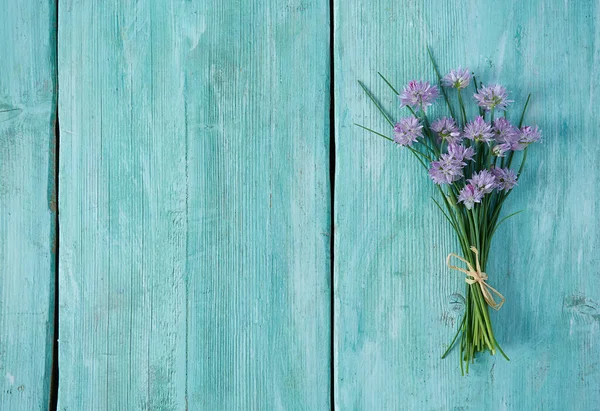 Blooming Chives Turquoise Surface — Stock Photo, Image
