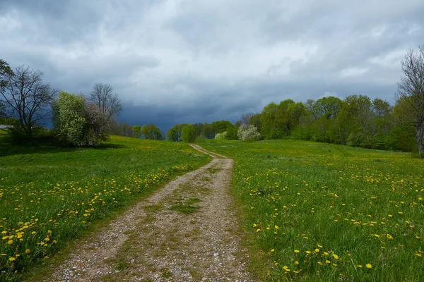 Paisagem Primavera Com Grama Nuvens — Fotografia de Stock