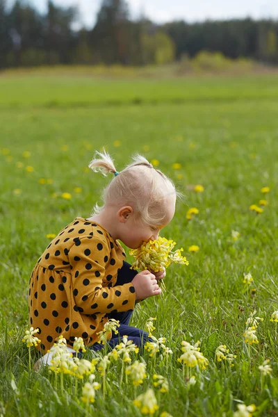 Nettes Mädchen Auf Einem Wilden Feld Mit Gelben Blumen — Stockfoto