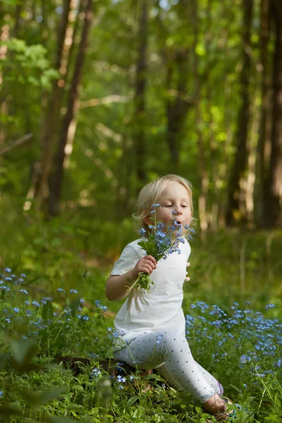 Niedliches Mädchen Wald Pflückt Vergissmeinnicht Blumen — Stockfoto