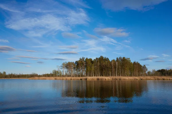 Hermoso Día Primavera Lago —  Fotos de Stock