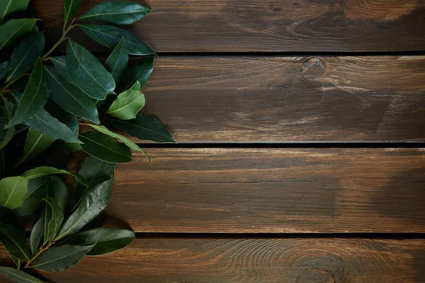 茶色の木製の表面にベイリーフ小枝 — ストック写真
