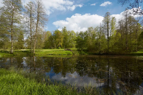 Beautiful Pond Spring Sunny Day — Stock Photo, Image