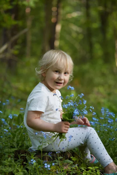 Menina Bonito Uma Floresta Está Escolhendo Esquecer Não Flores — Fotografia de Stock