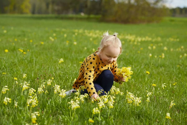 Симпатичная Девушка Диком Поле Желтыми Цветами — стоковое фото