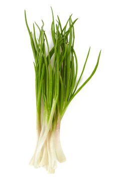 spring onions isolated on white background clipart