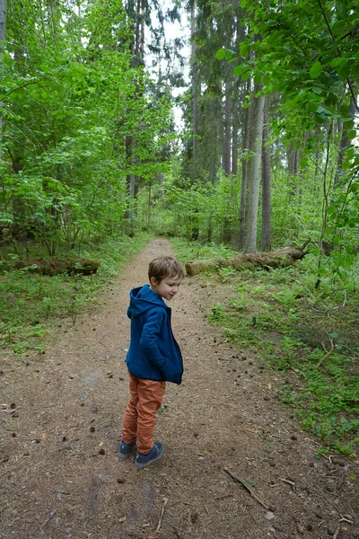 Маленький Хлопчик Синій Куртці Стоїть Посеред Зеленої Лісової Дороги — стокове фото