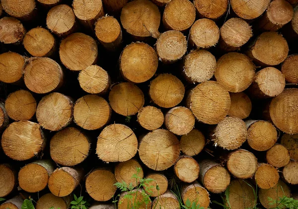 Registos Incêndio Prontos Para Serem Entregues — Fotografia de Stock