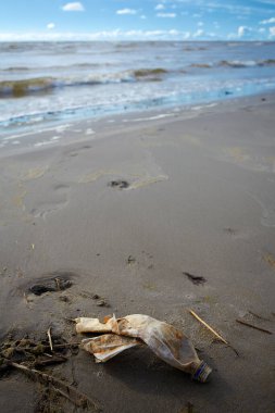 Eski plastik şişe denizden temizlenmiş.