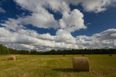 Resimli bir günde saman yığınları