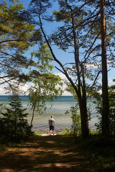 Belle Vue Depuis Falaise Sur Île Saaremaa — Photo