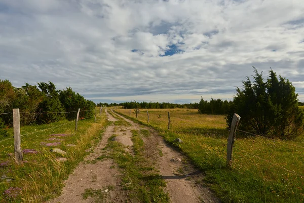 Beautiful Wild Landscape Path Walk — Stock Photo, Image