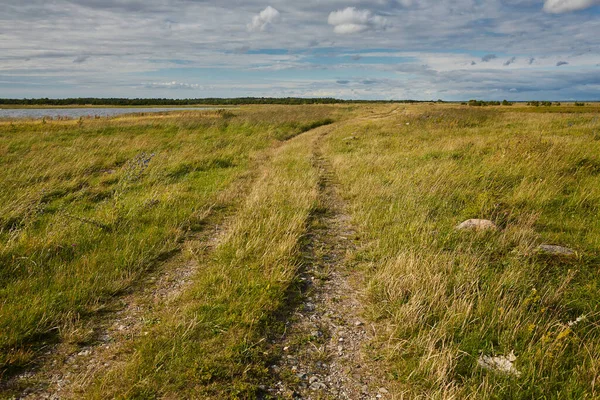 Bela Paisagem Selvagem Com Caminho Para Caminhar — Fotografia de Stock