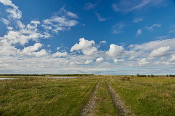 Hermoso Paisaje Salvaje Con Camino Para Caminar —  Fotos de Stock