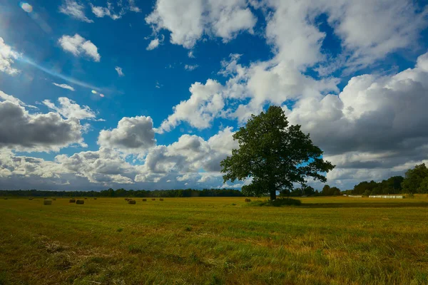 Belo Dia Campo Conceito Natureza — Fotografia de Stock