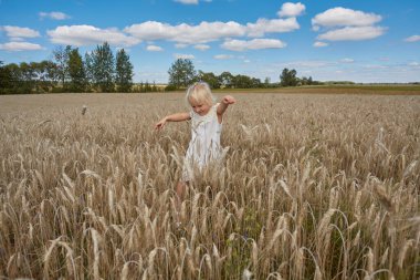 Buğday tarlasında 4 yaşında tatlı bir çocuk.