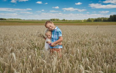 Buğday tarlasında tatlı çocuklar
