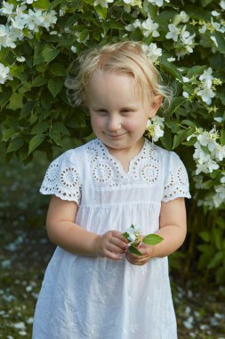 Sevimli 4 yaşındaki kız yasemin çalılarının önünde duruyor.